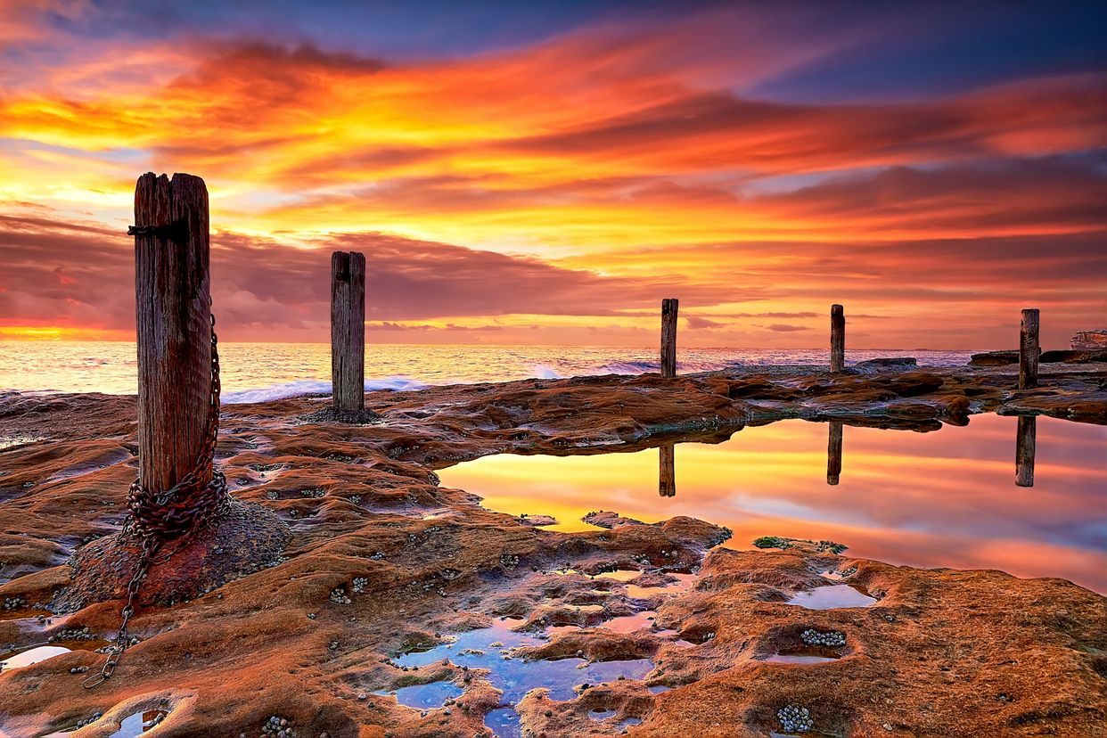 Ivo Rowe Rock Pool