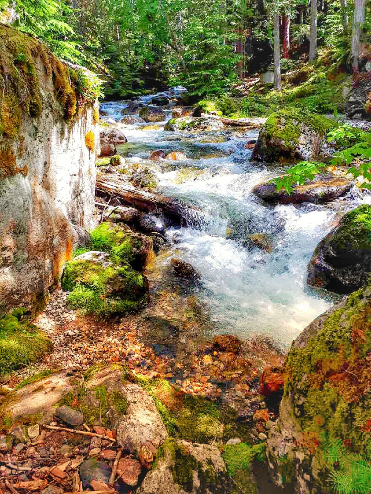 Tam-o-Shanter Creek 
