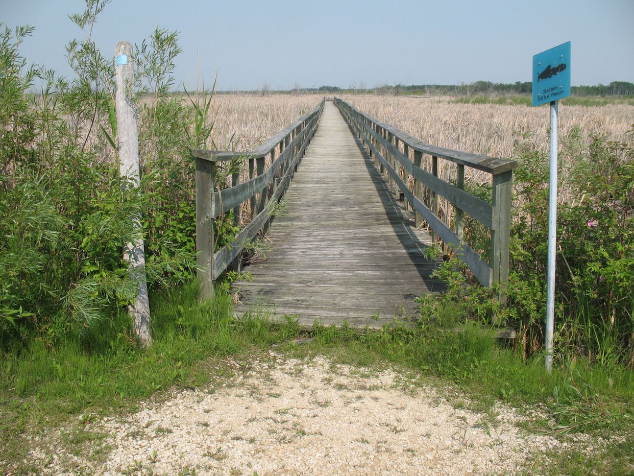 Hecla Grassy Narrows