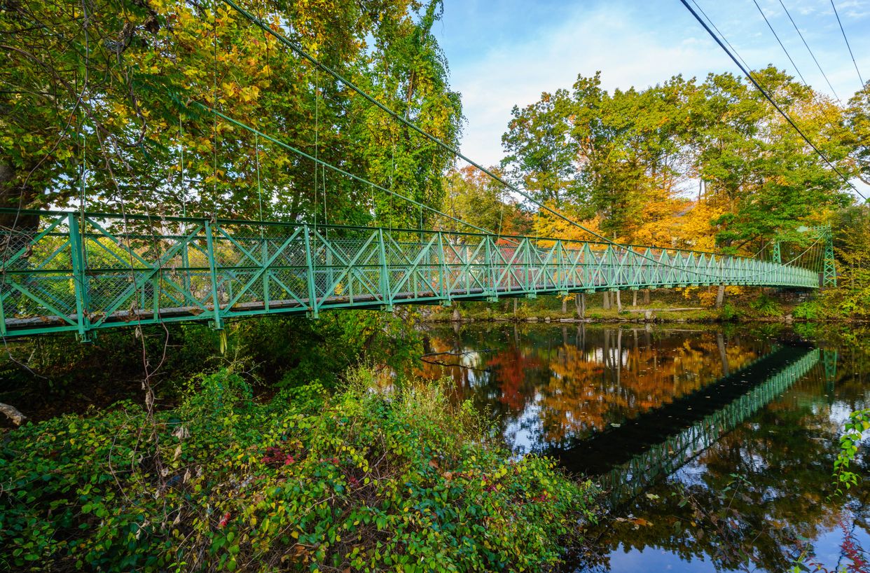 Milford Suspension Bridge