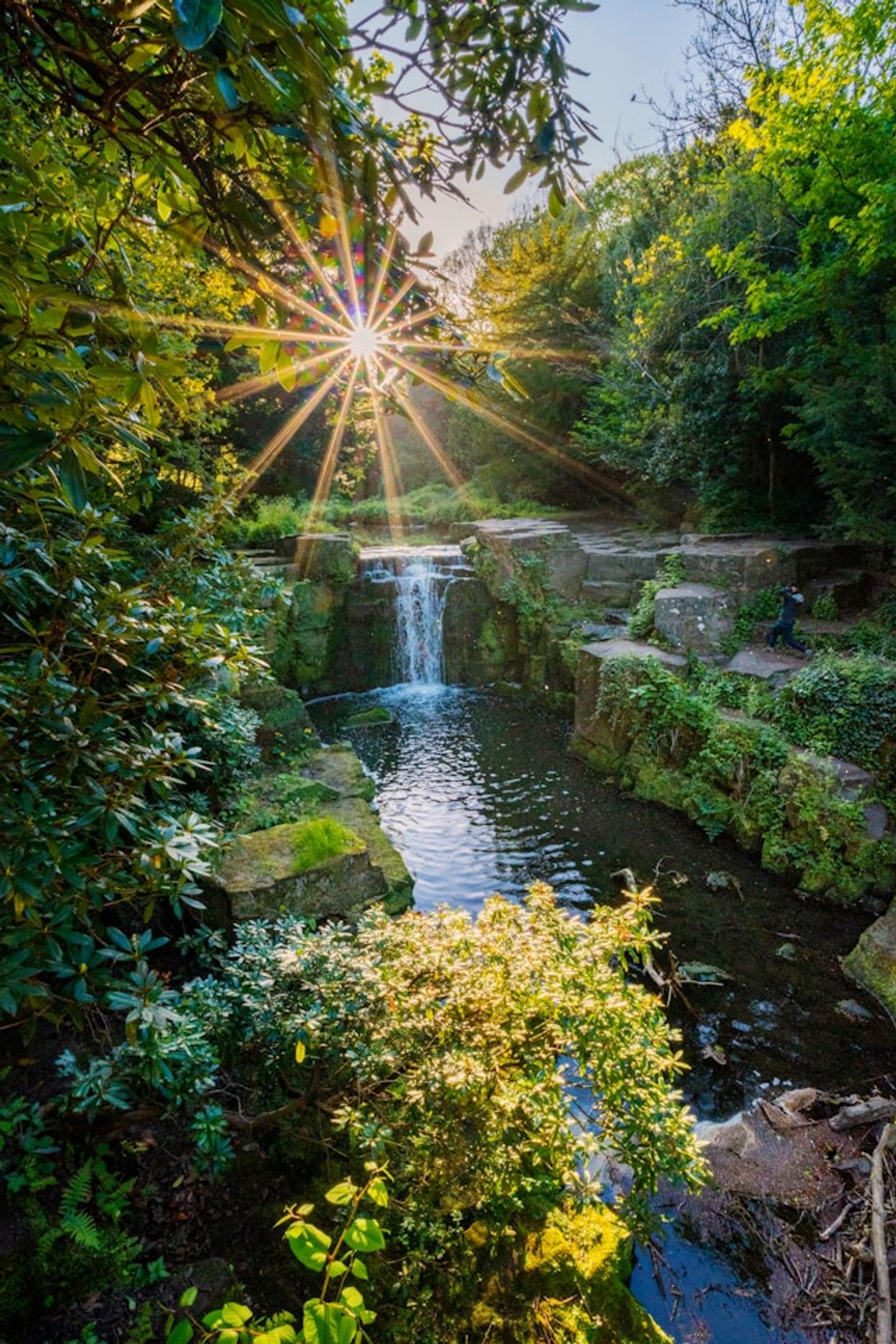 Jesmond Dene