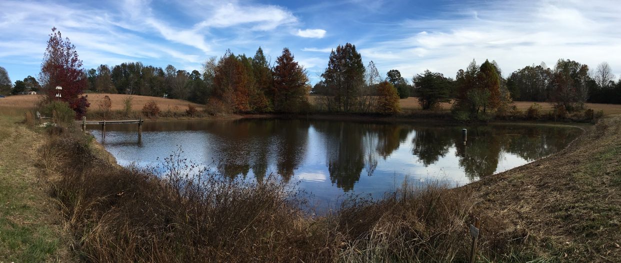 Cane Creek Canyon Pond