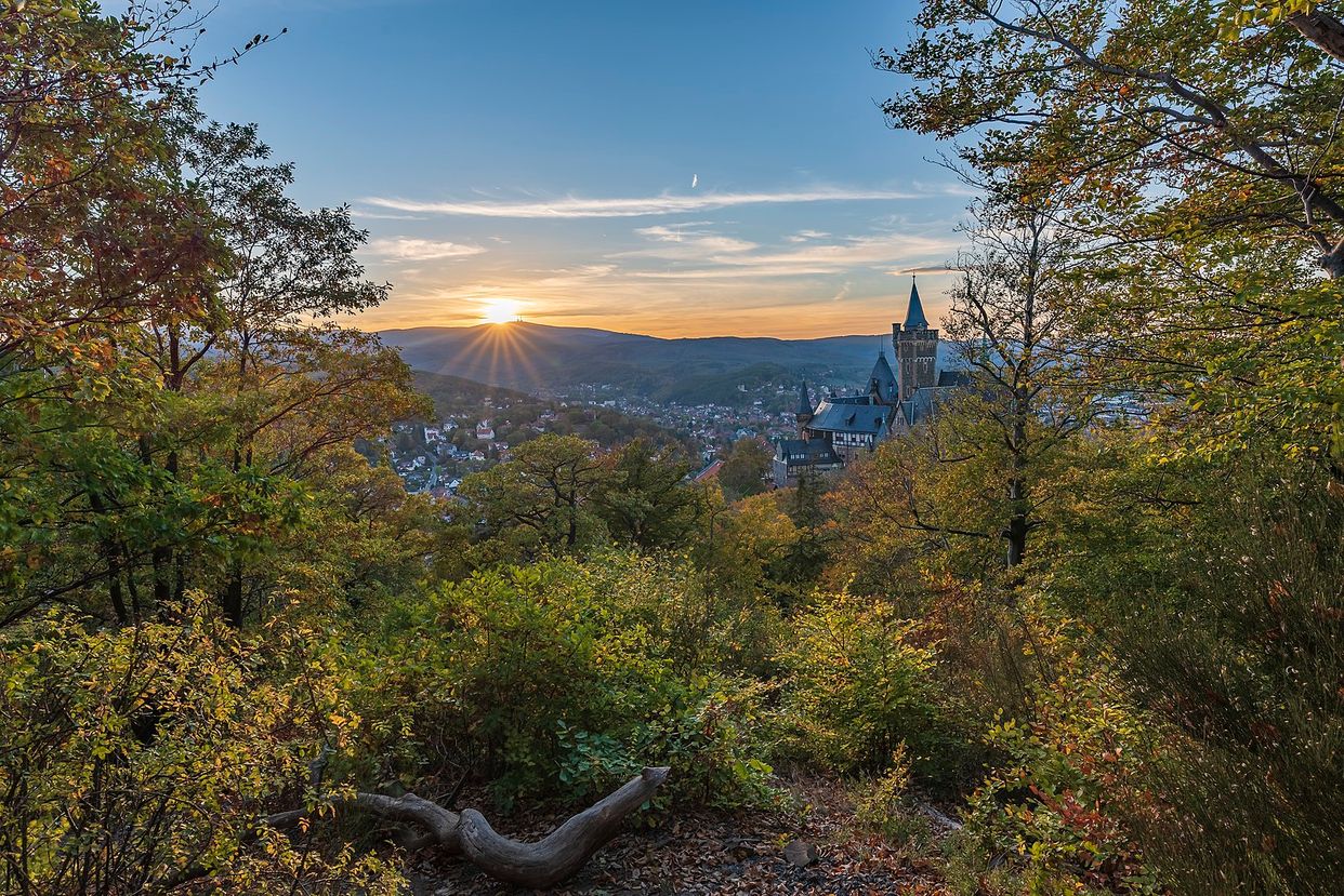 Altar der Wahrheit View