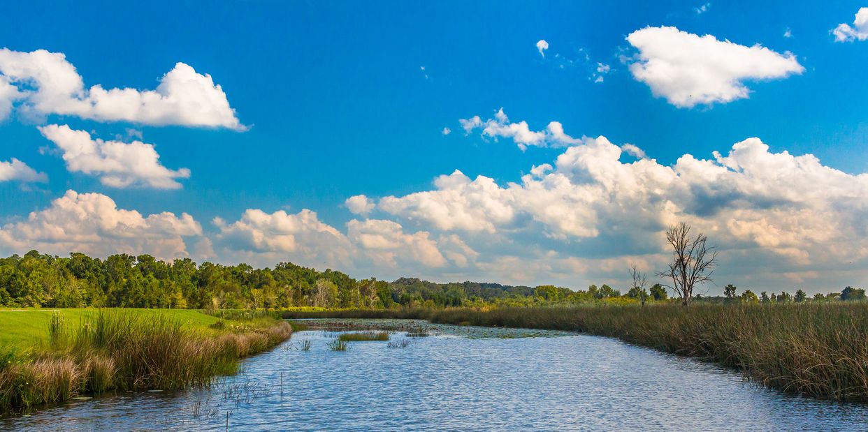 Sweetwater Wetlands Park
