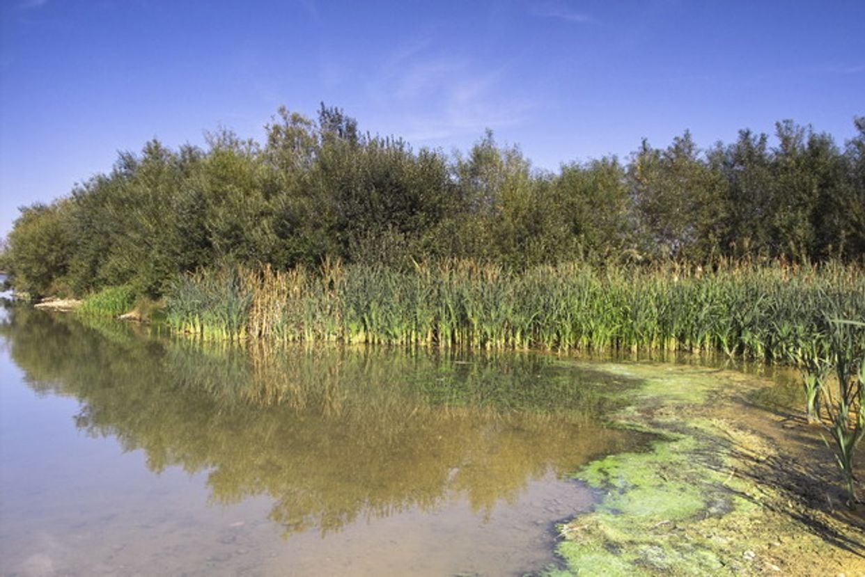 Stanwick Lakes