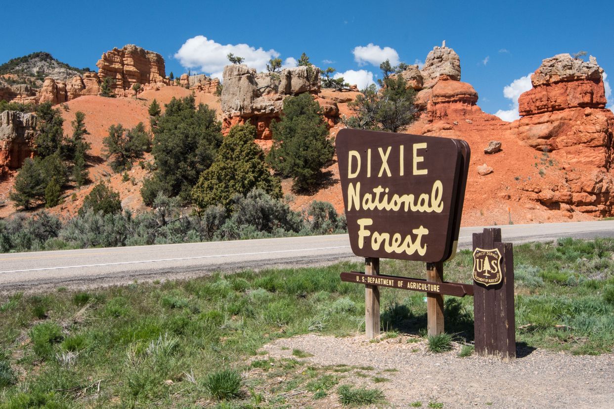 Dixie National Forest Entrance