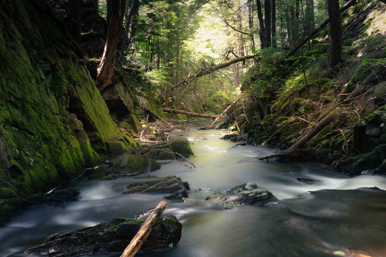 Dawson's Brook