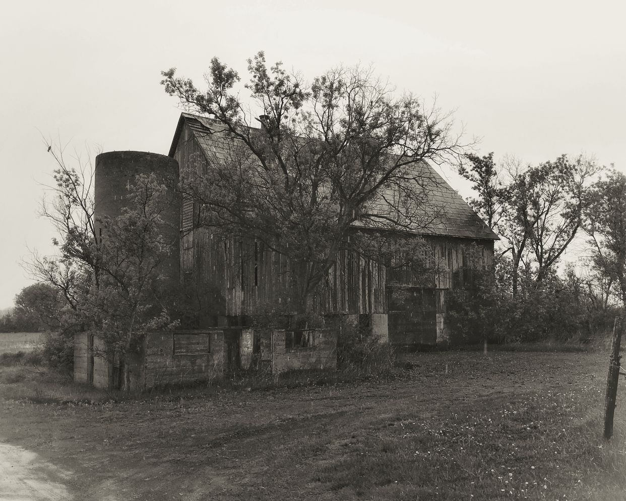 Dilapidated Grain Barn 