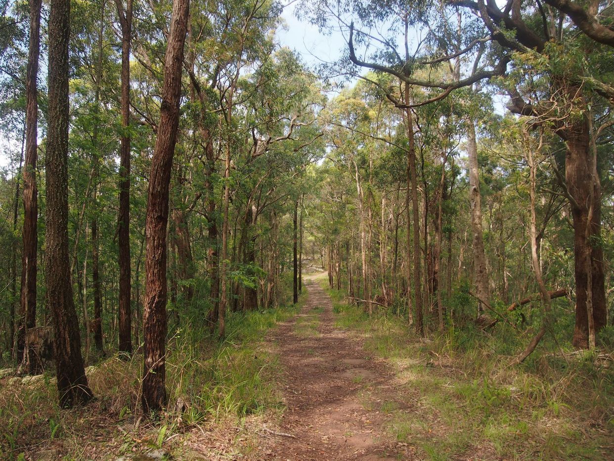 Bradley's Gully Road