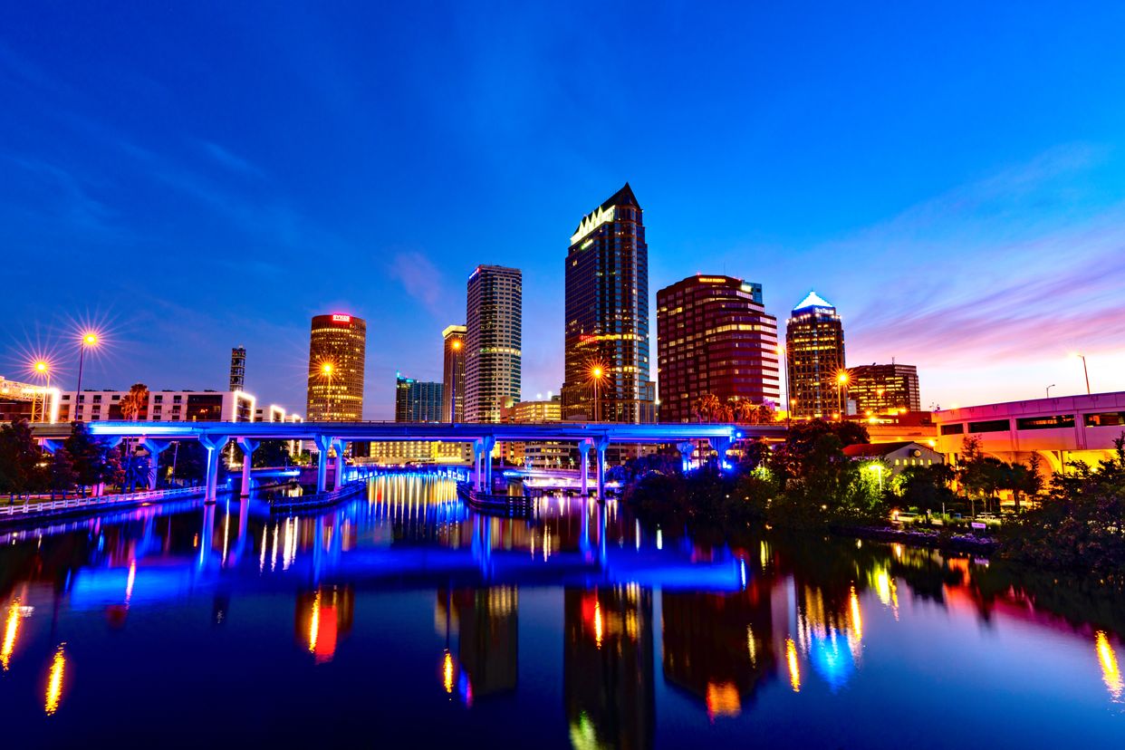 Tampa Skyline Viewpoint