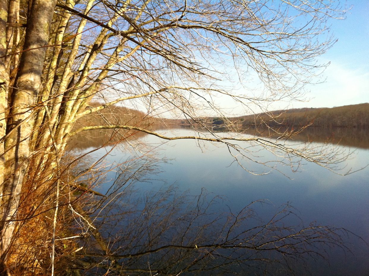 Pine Acres Lake