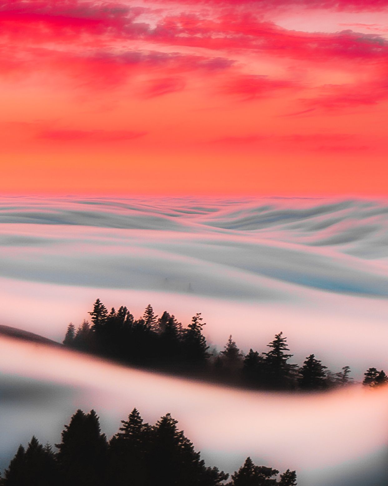 Mount Tamalpais 