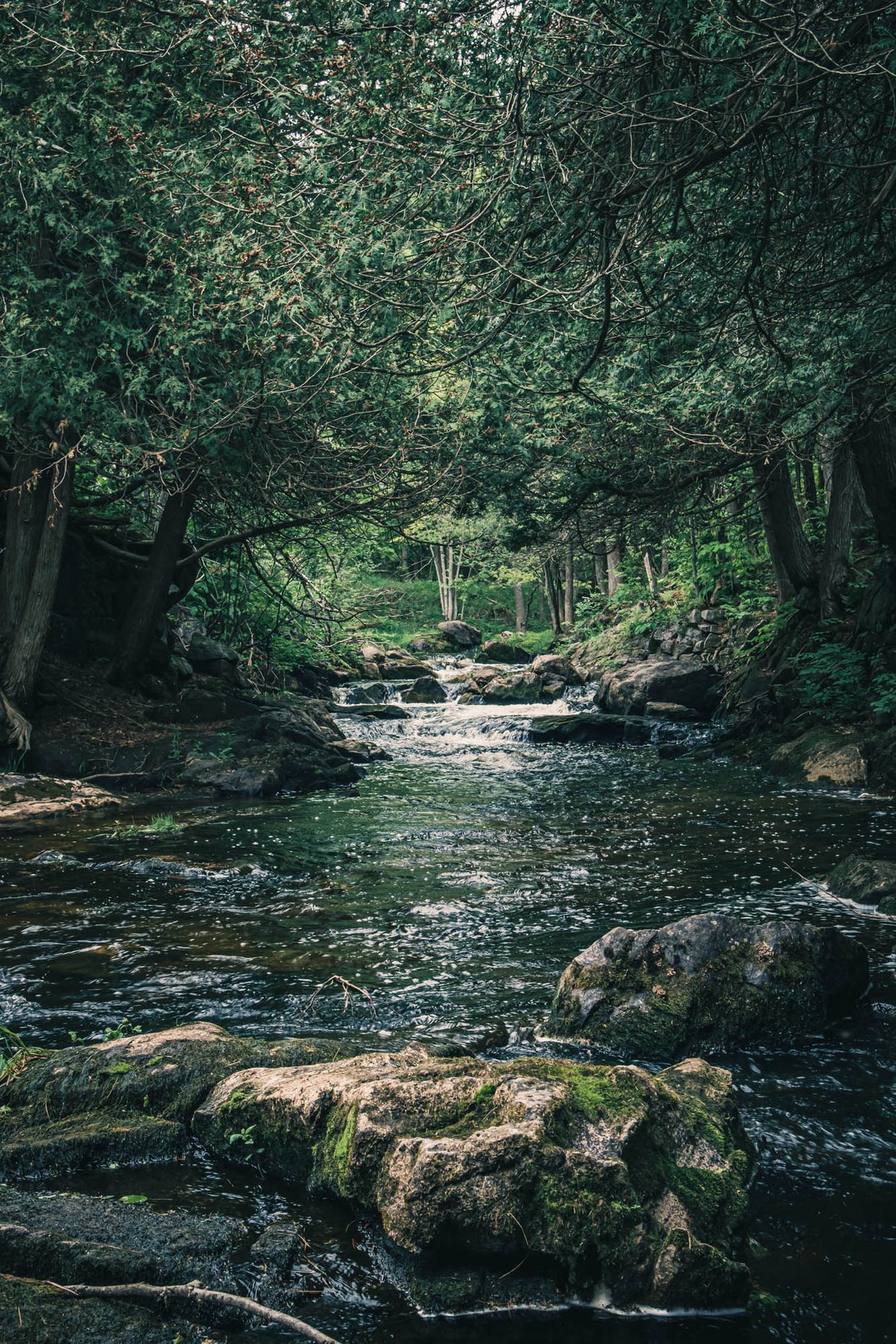 Black Creek