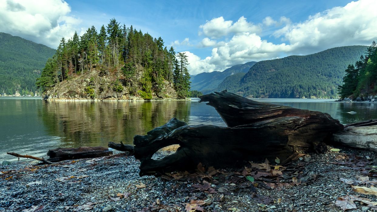 Jug Island Beach