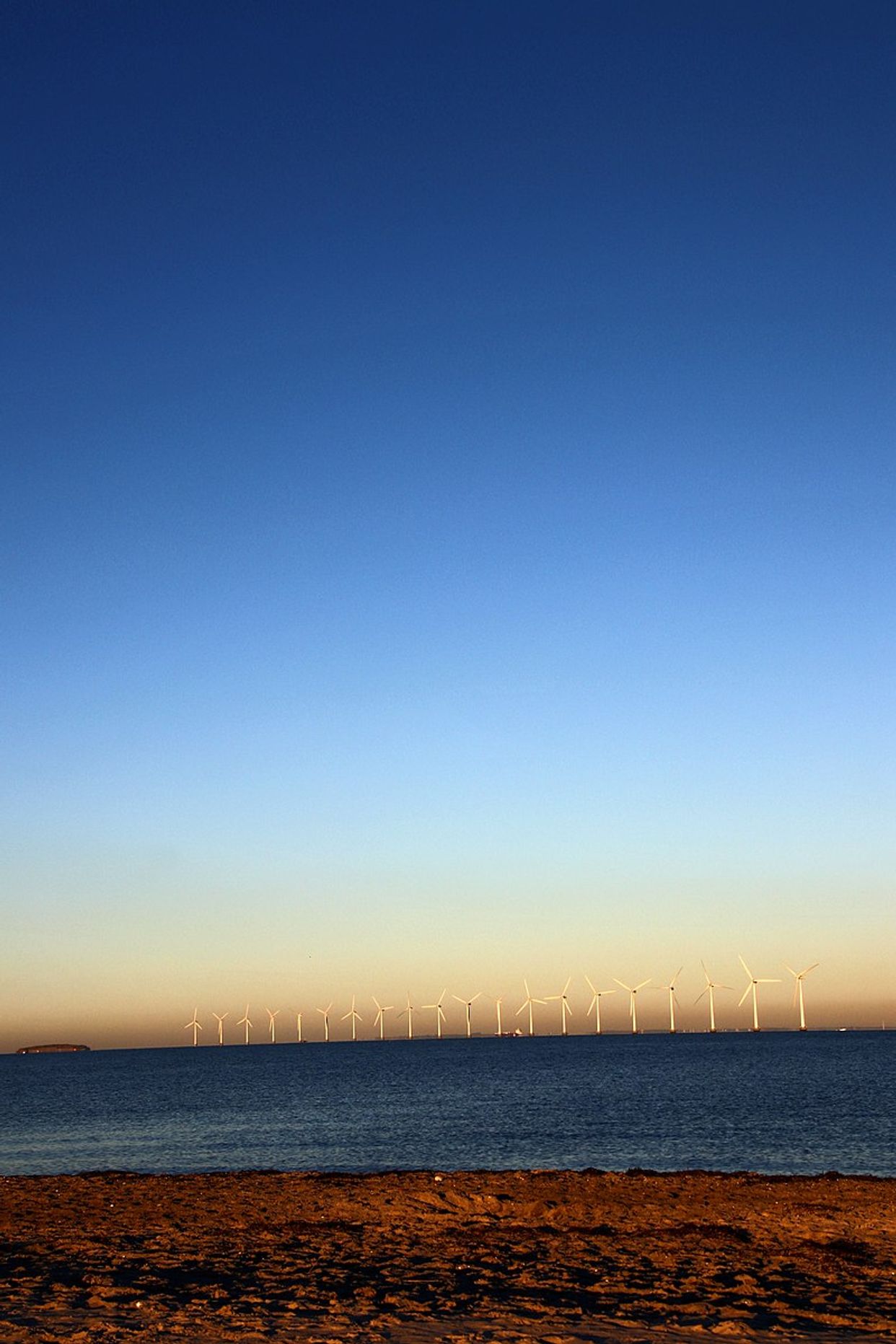 Amager Strandpark View