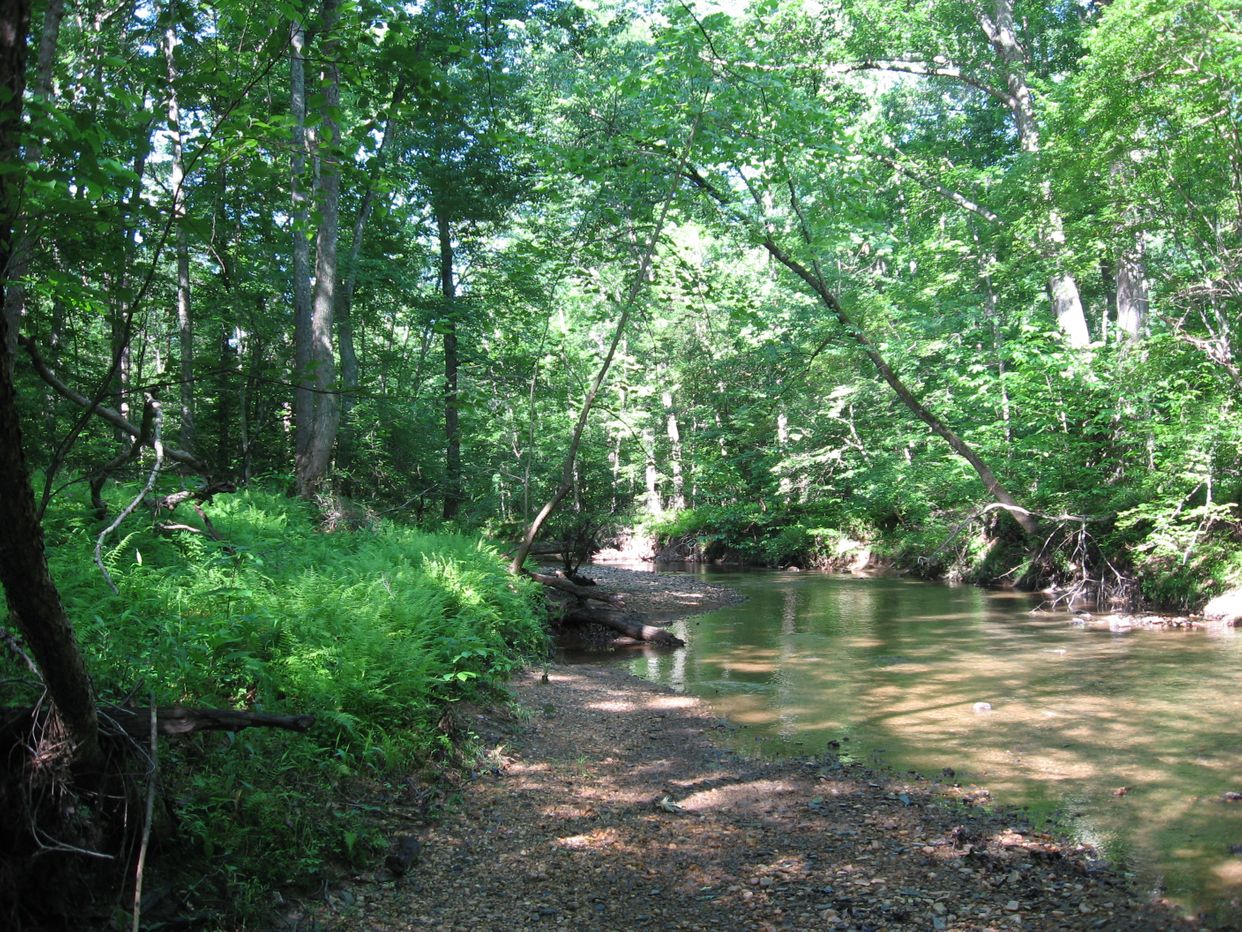 South Fork of Quantico Creek