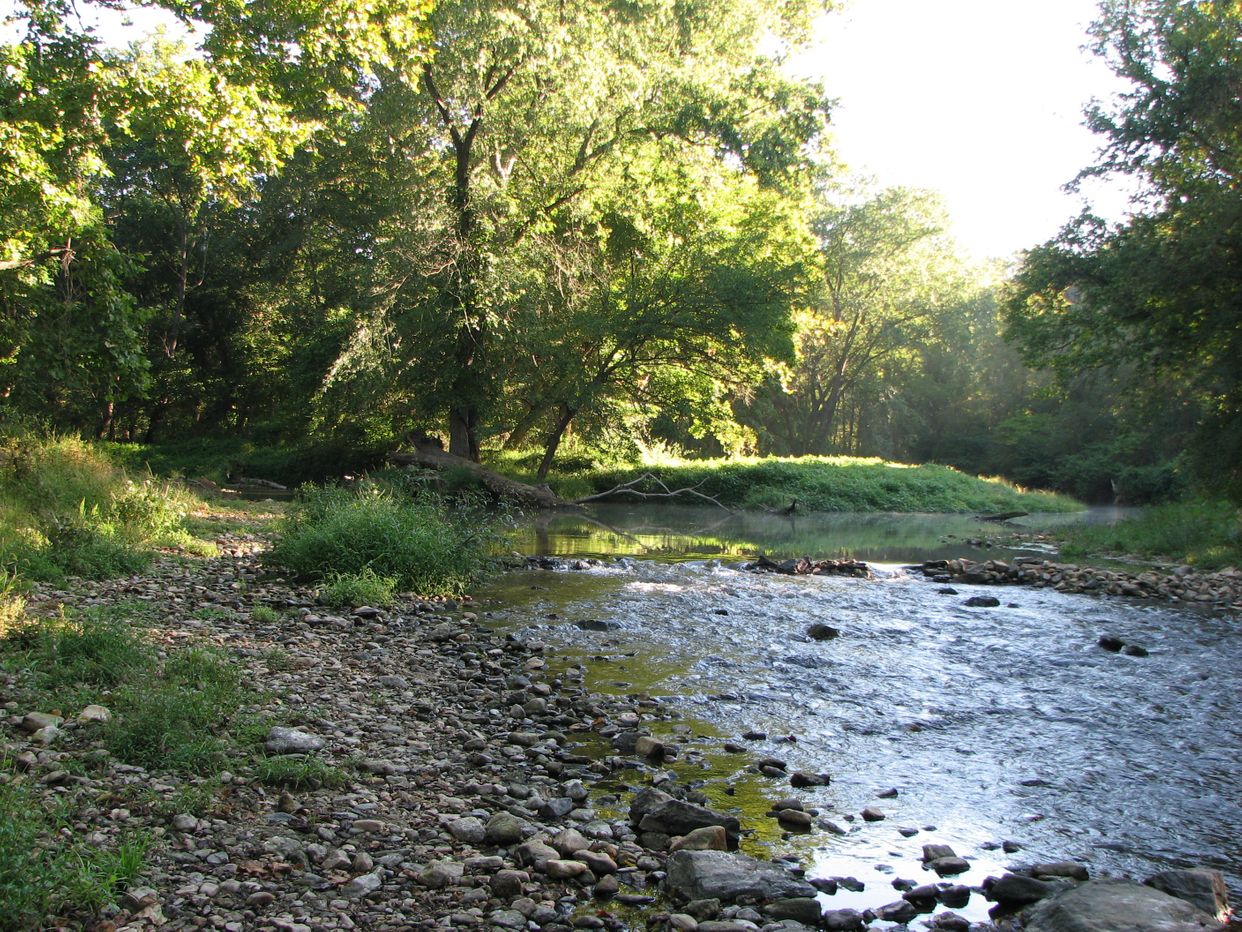 White Clay Creek Forks