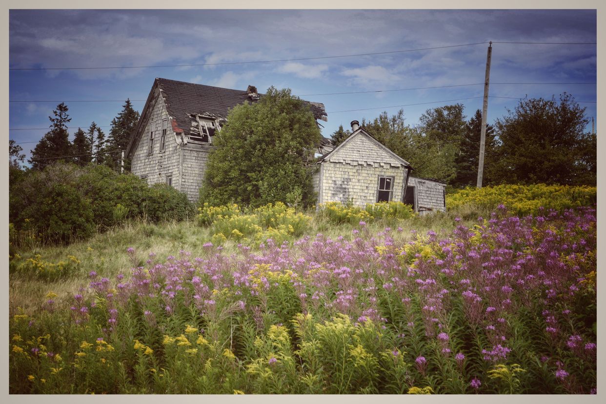 Sunrise Trail Abandoned House