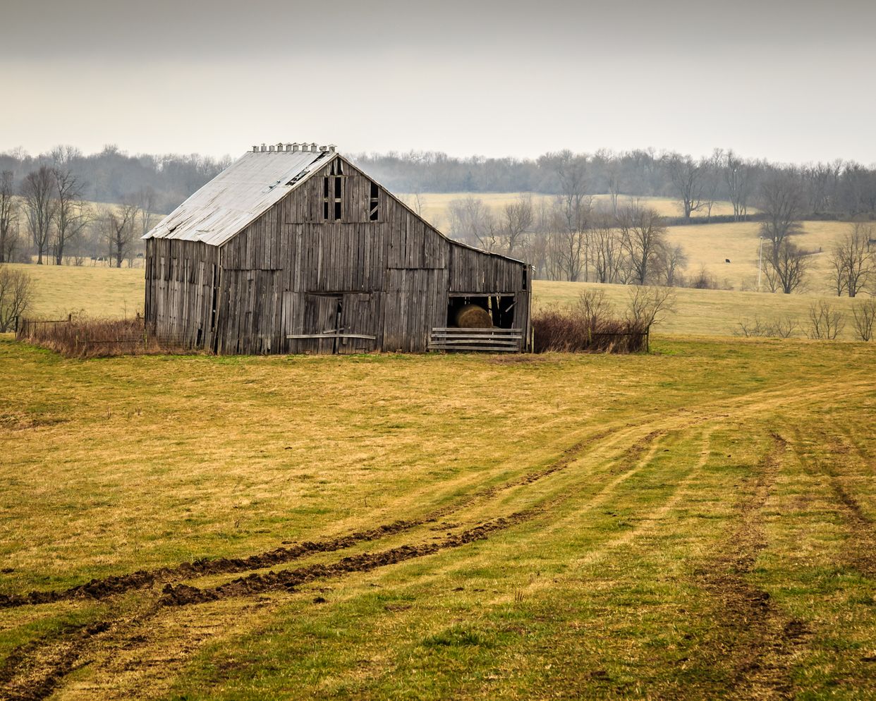 Old Barn 