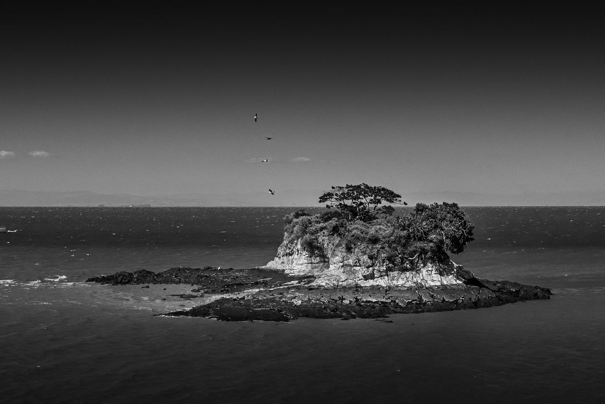 Rat Rock Island