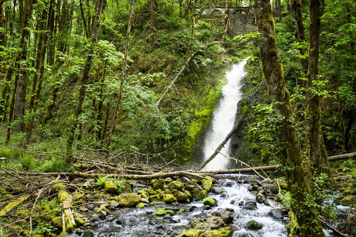 Ruckel Creek Waterfall