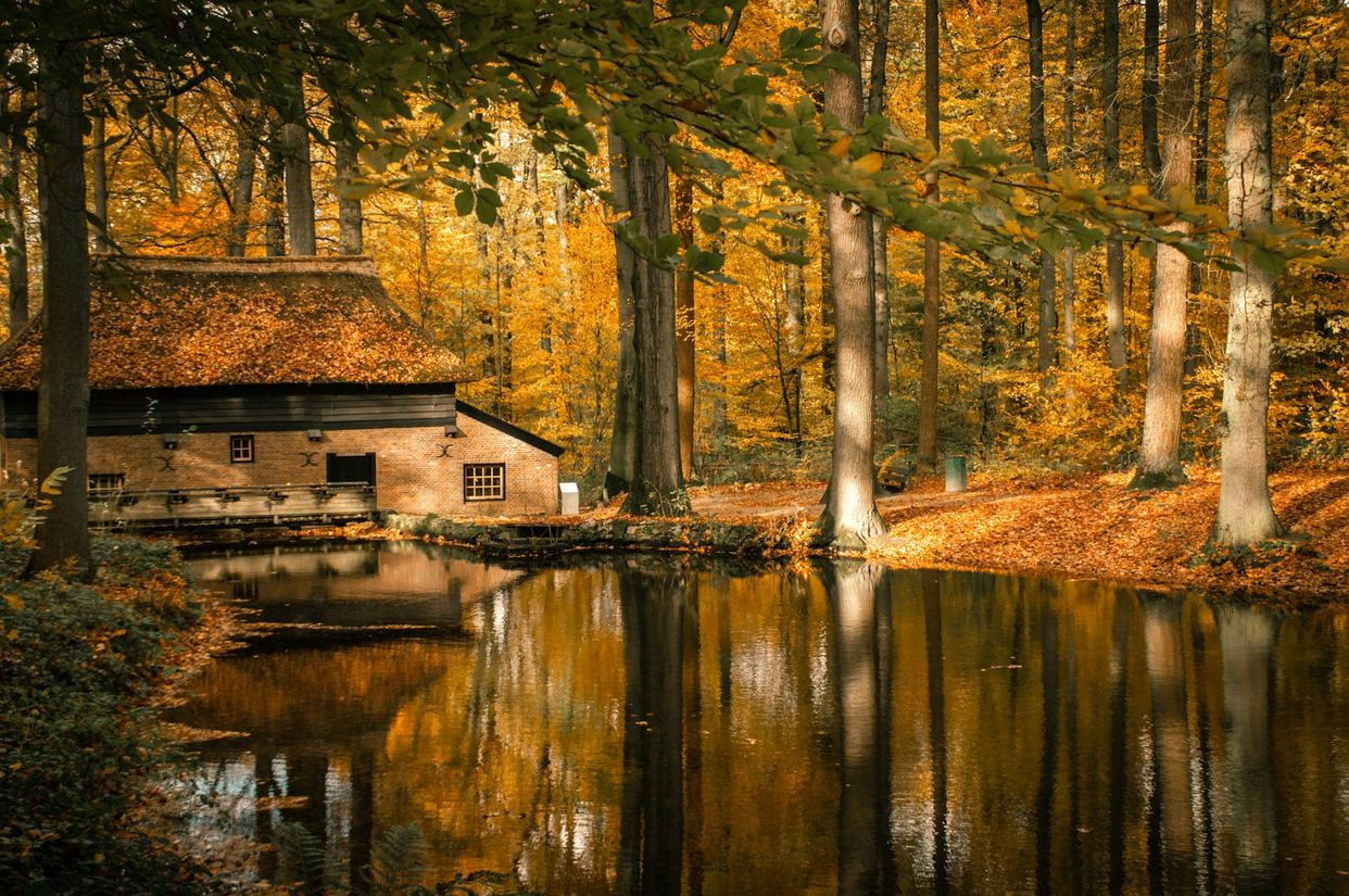 Nederlands Openluchtmuseum