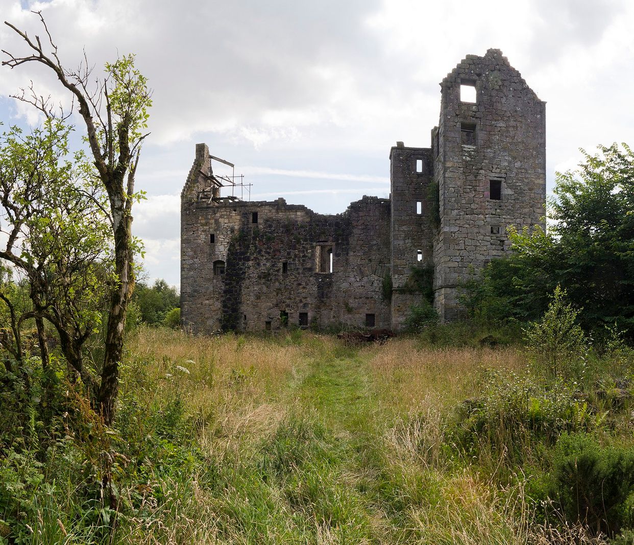 Torwood Castle Ruins 