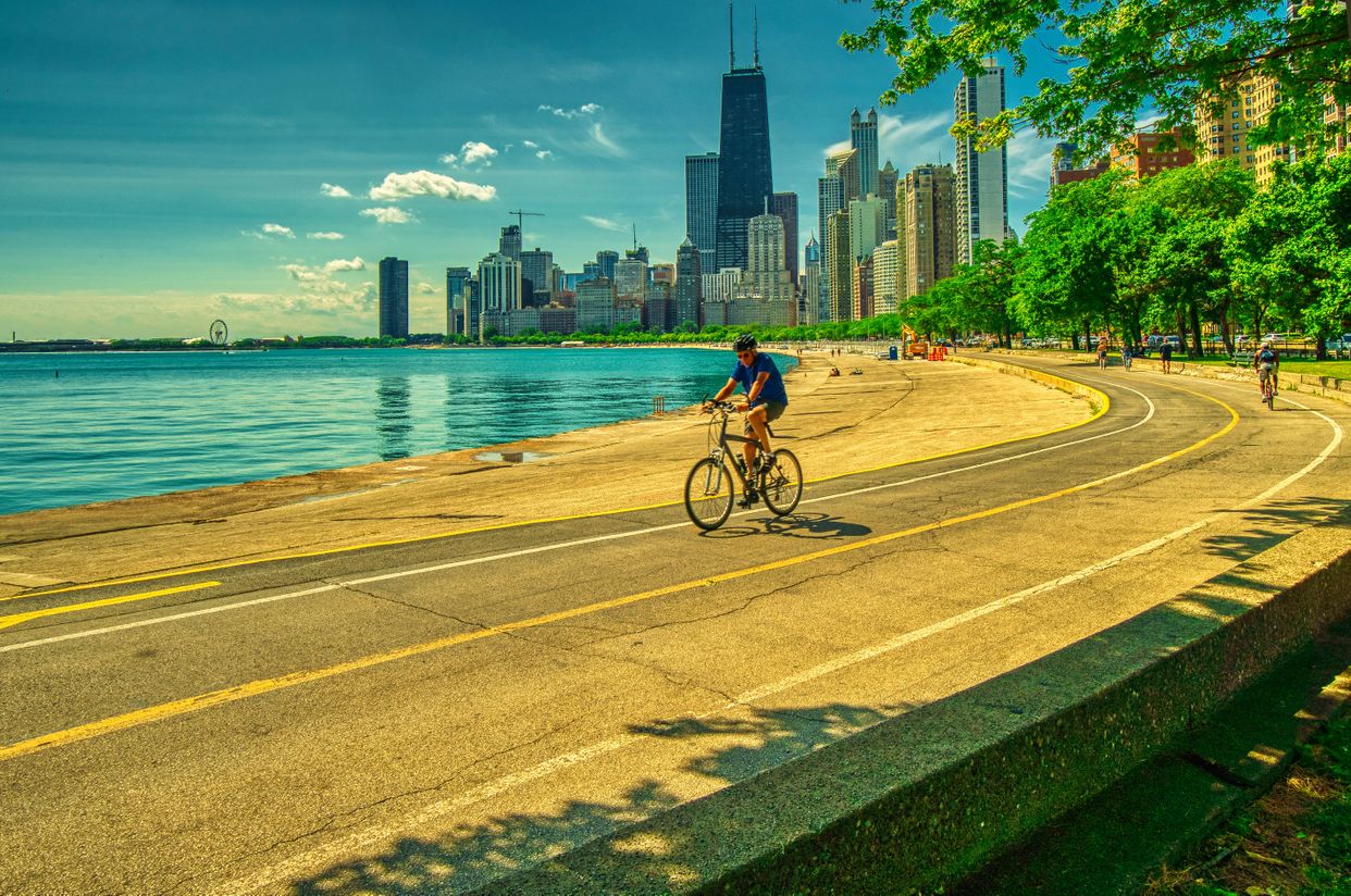 Lakefront Trail View