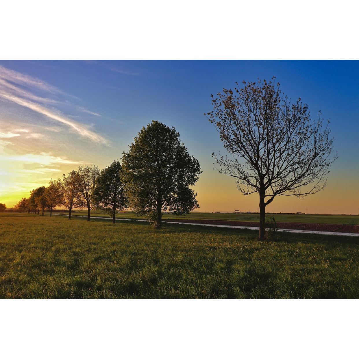 Country Lane
