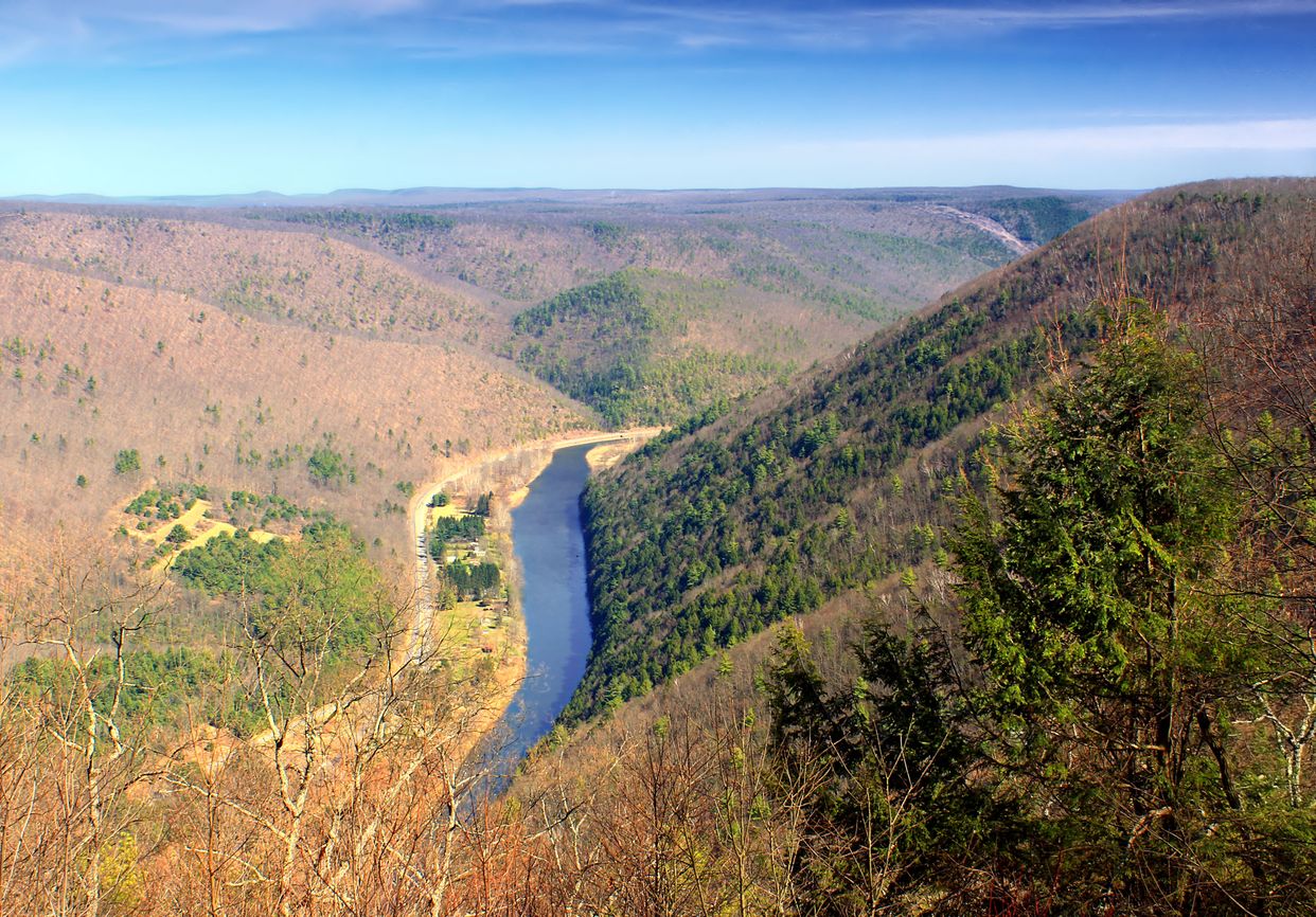 Pine Creek Gorge
