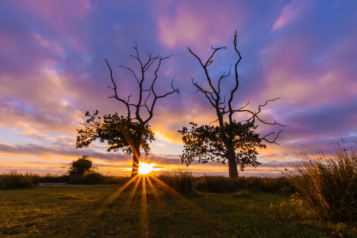 Carlton Marshes Nature Reserve