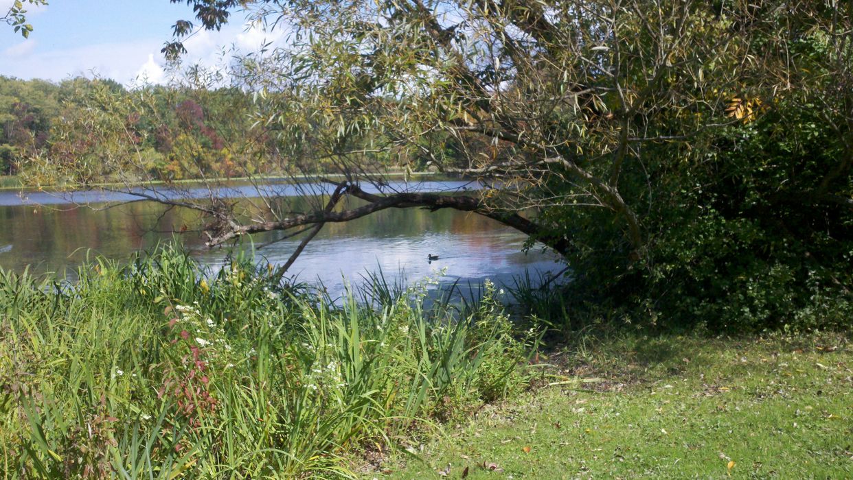 Horseshoe Lake 