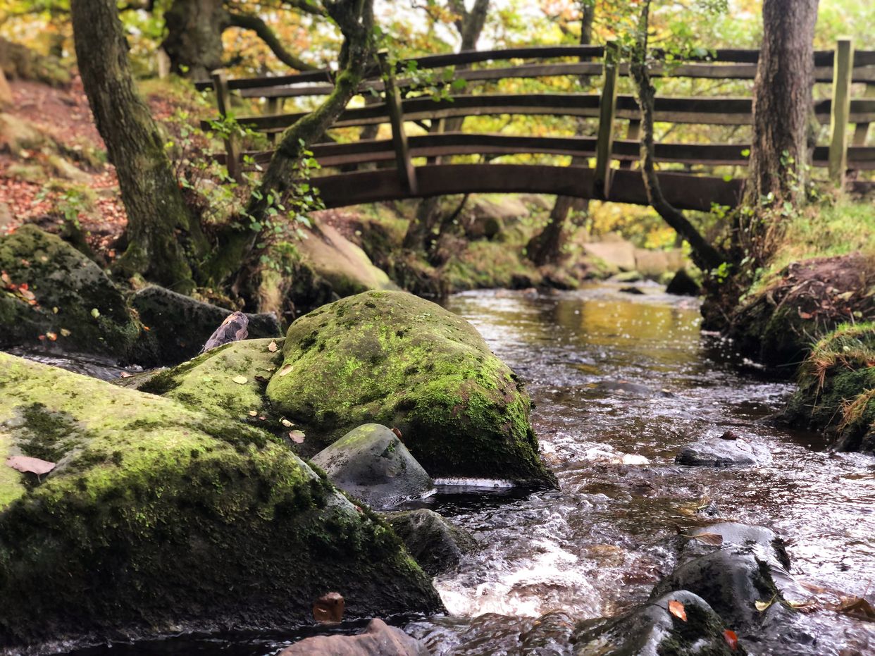 Padley Gorge Trail