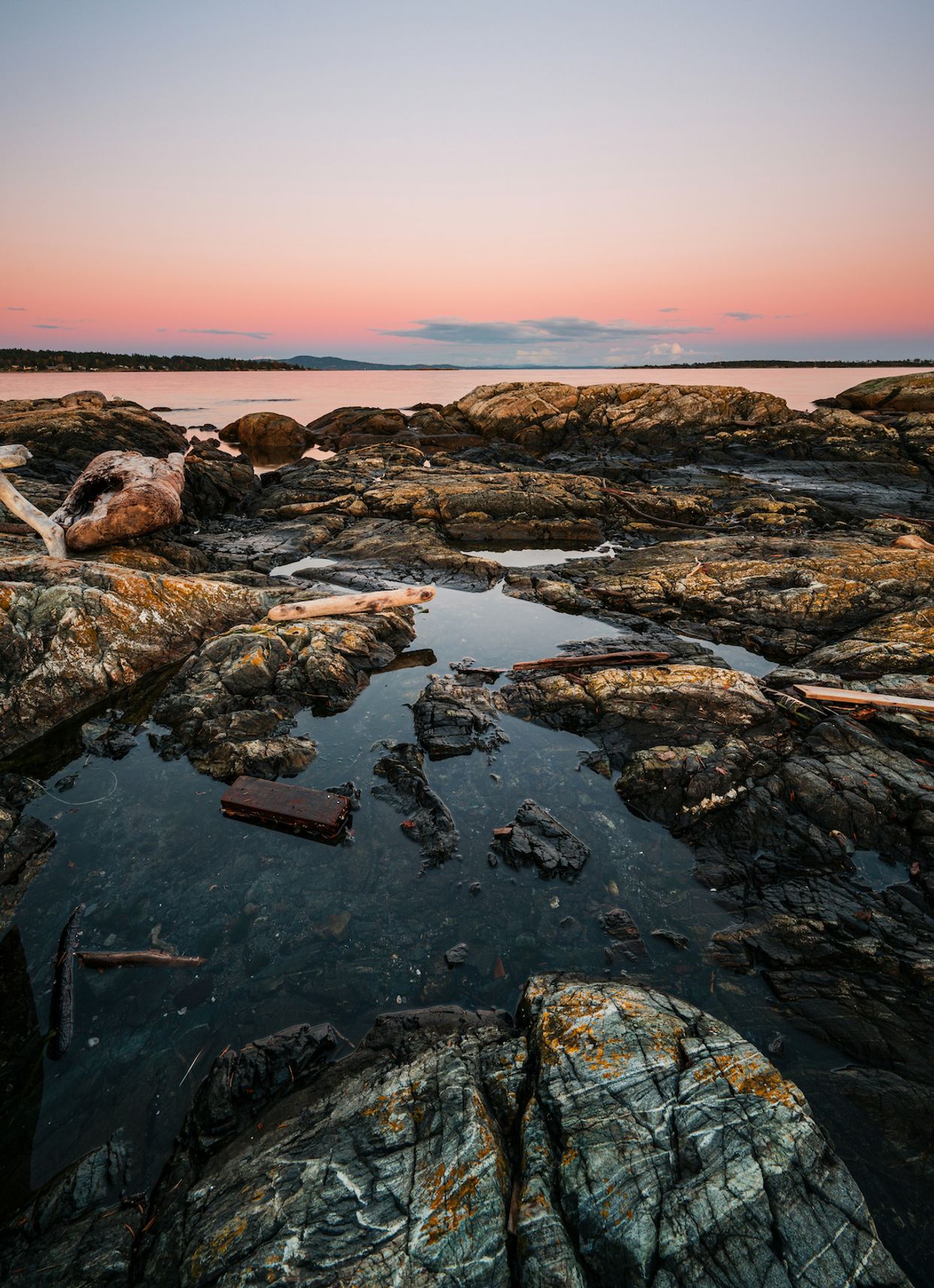 Cattle Point