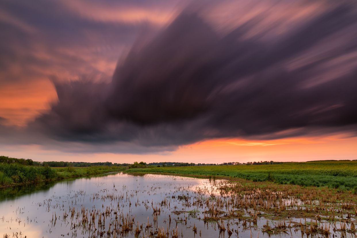 Madison Audubon's Goose Pond Sanctuary