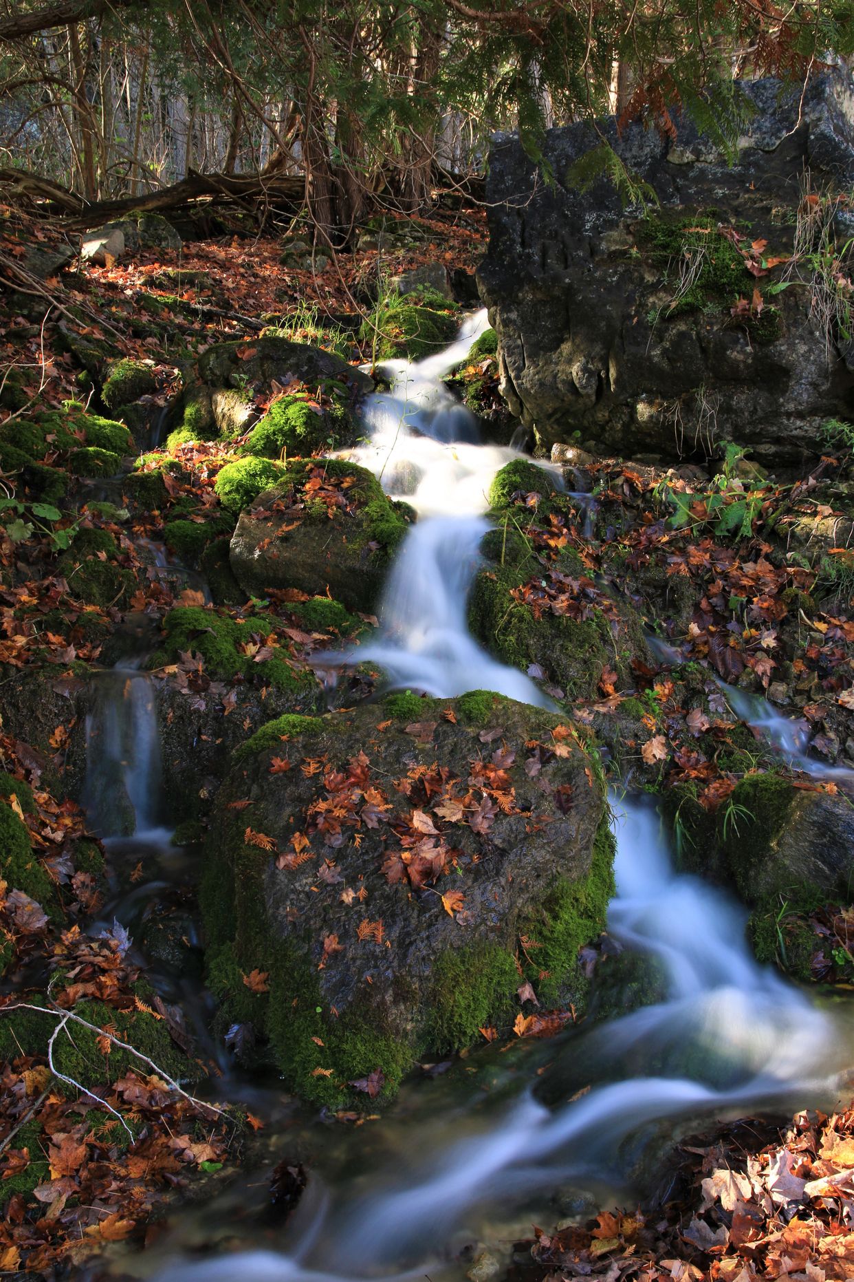 Graham's Hill Falls