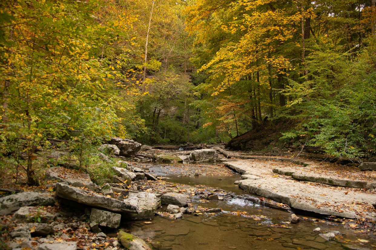 McCormick's Creek State Park