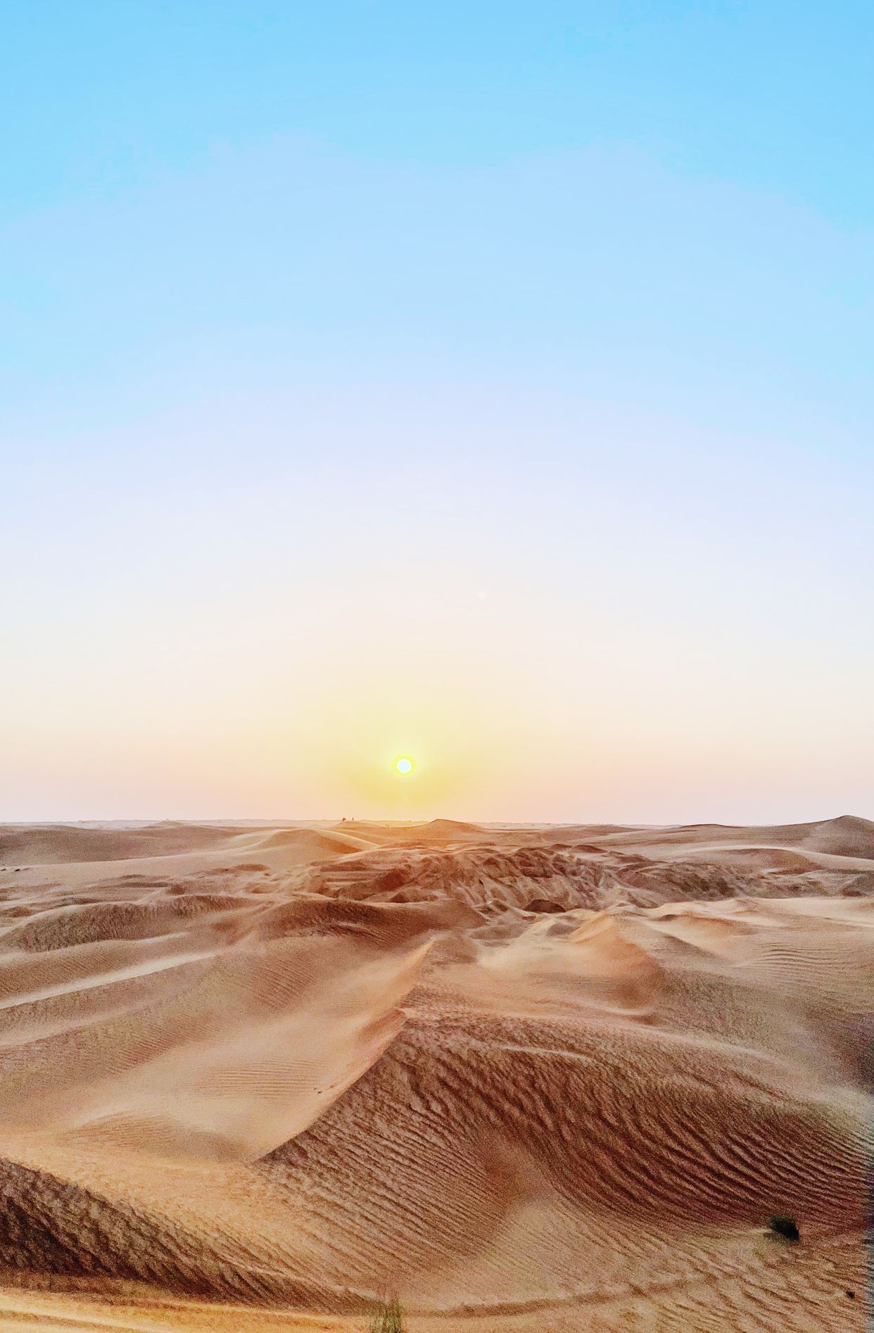 Qudra Desert
