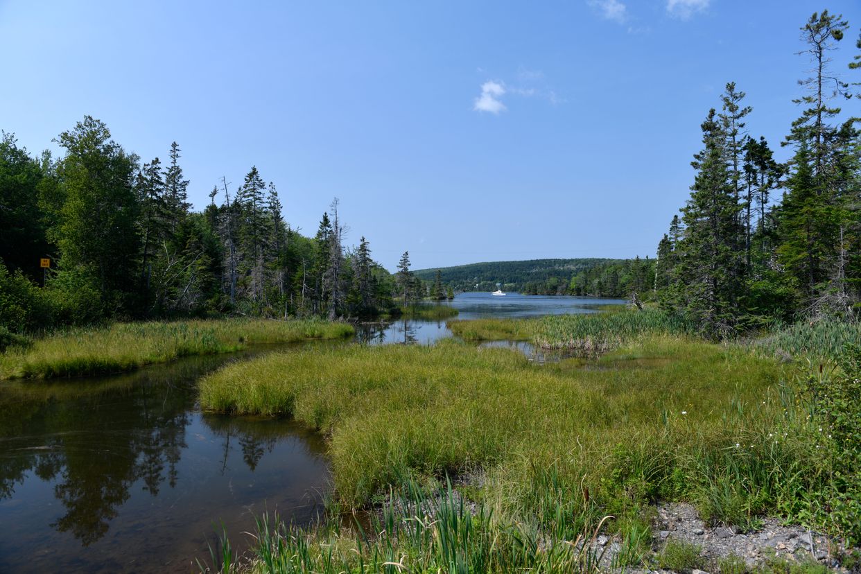 Herring Cove View