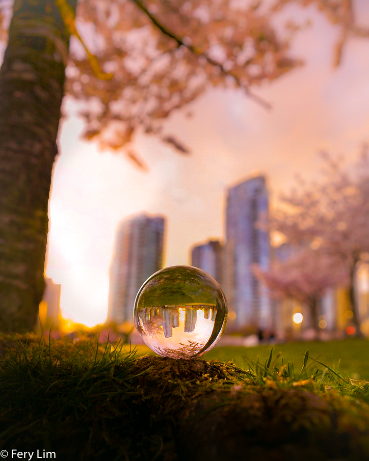 David Lam Park — Photo by fery_lim85