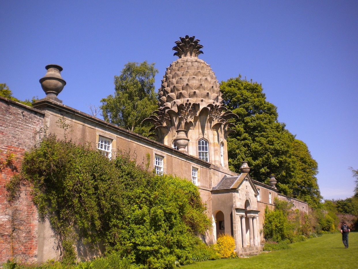 Dunmore Pineapple