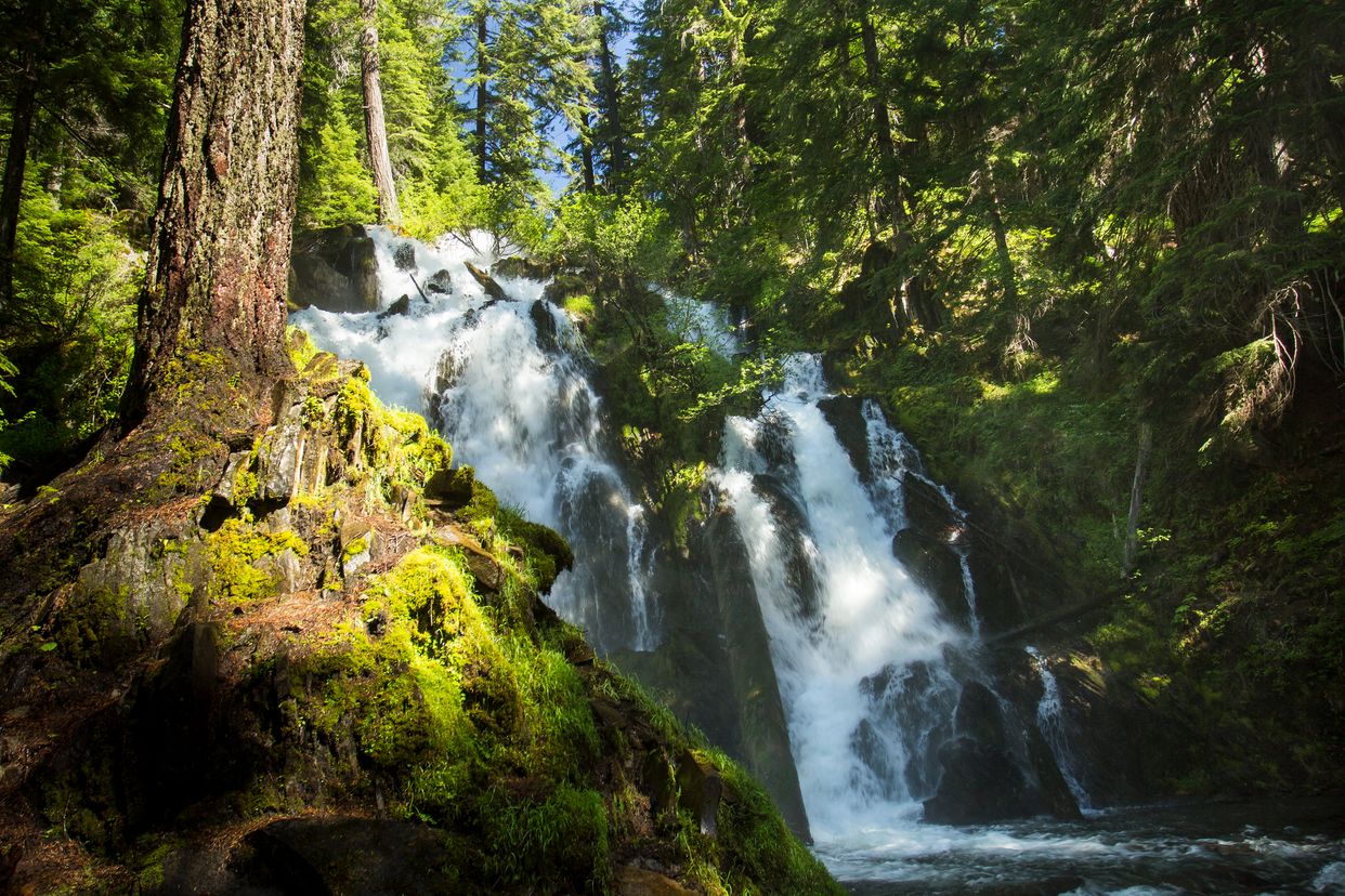 National Creek Falls