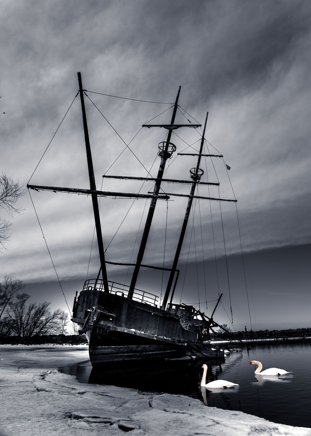 La Grande Hermine