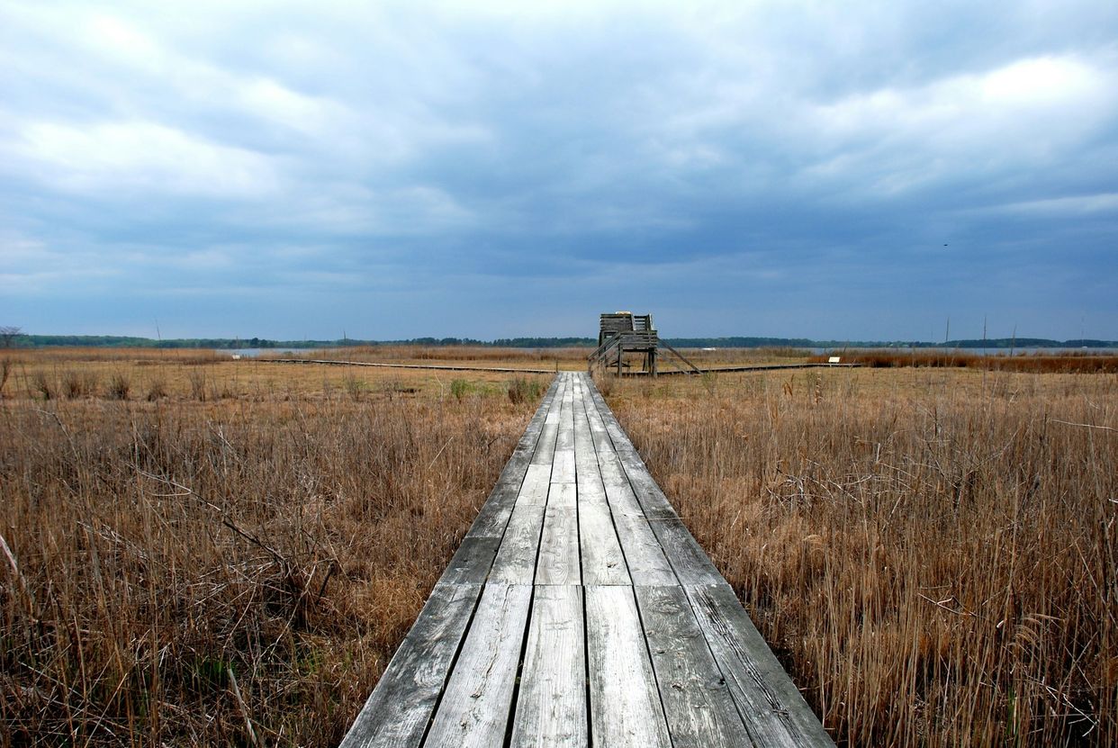 Chesapeake Bay Environmental Center