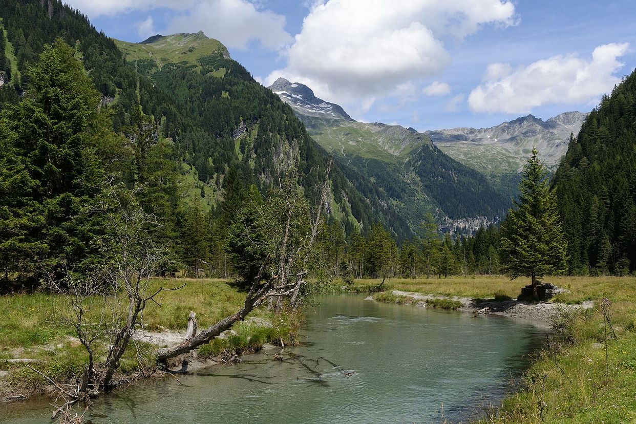 Seebach View