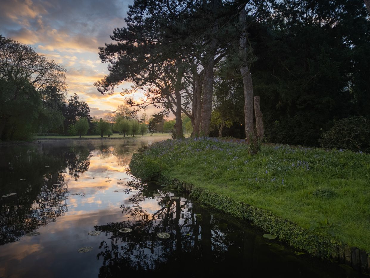Wilhelminaplantsoen