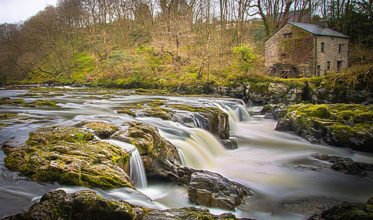Cenarth Falls