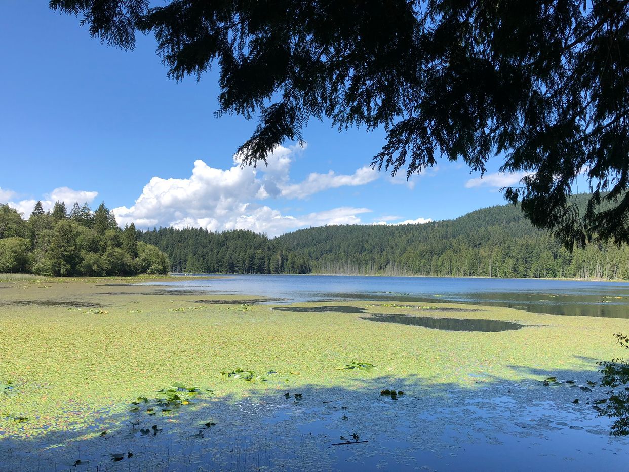 Killarney Lake
