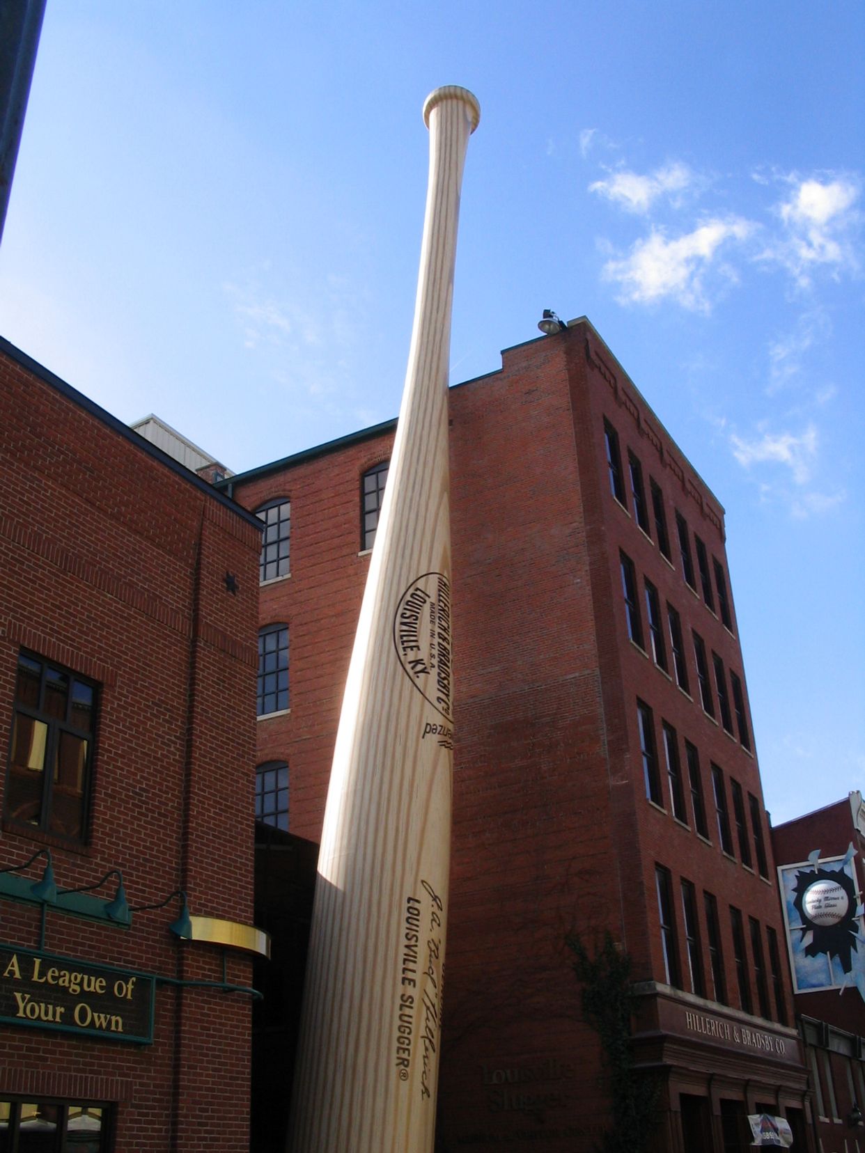 The Big Bat