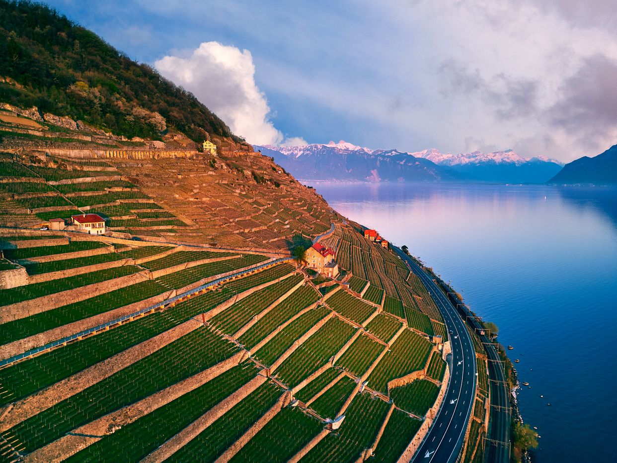Grand cru Dézaley